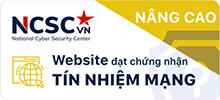 Tín nhiệm mạng 100VIP